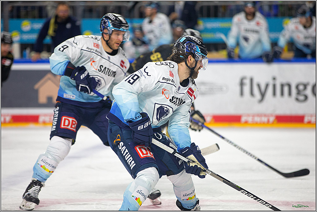 PENNY DEL;  Kölner Haie - ERC Ingolstadt; Köln, 25.11.2022